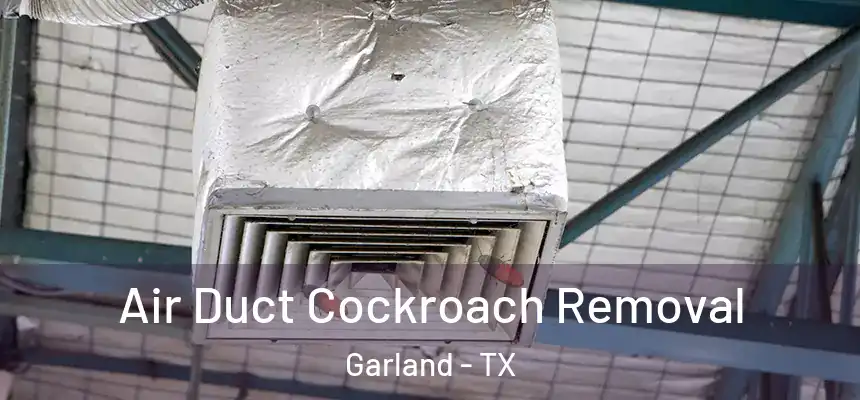 Air Duct Cockroach Removal Garland - TX