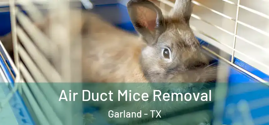 Air Duct Mice Removal Garland - TX