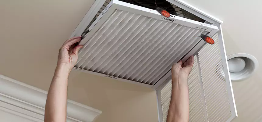 Our Insect Removal from Air Ducts Services in Garland, TX