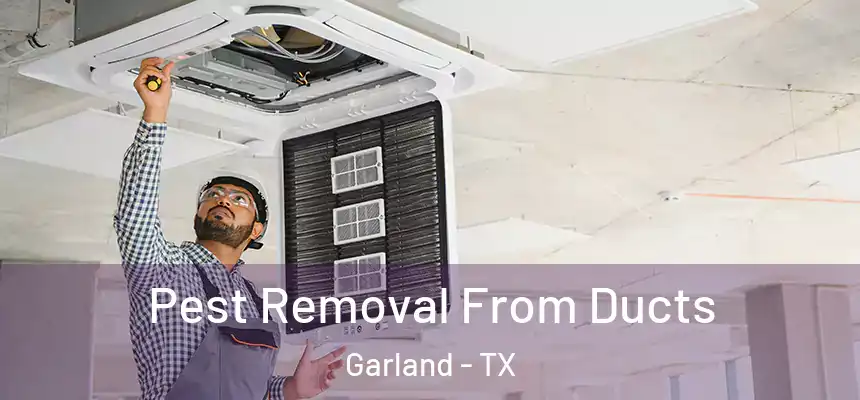  Pest Removal From Ducts Garland - TX