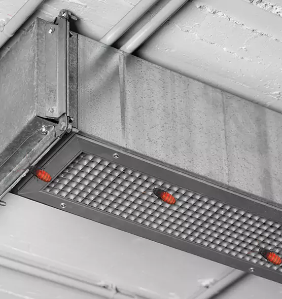 About Air Duct Cockroach Removal in Garland, TX