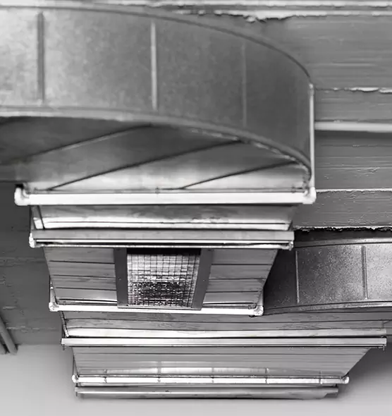 Professional Air Duct Pet Hair Removal in Garland, TX