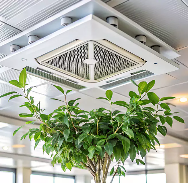 Why Homeowners & Businesses Trust Us in Garland, TX?