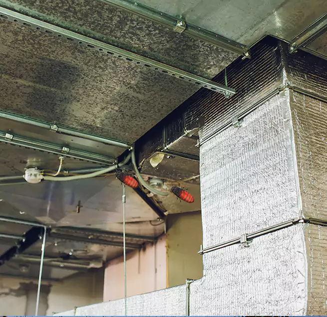 Why Homeowners & Businesses Trust Us Garland, TX?