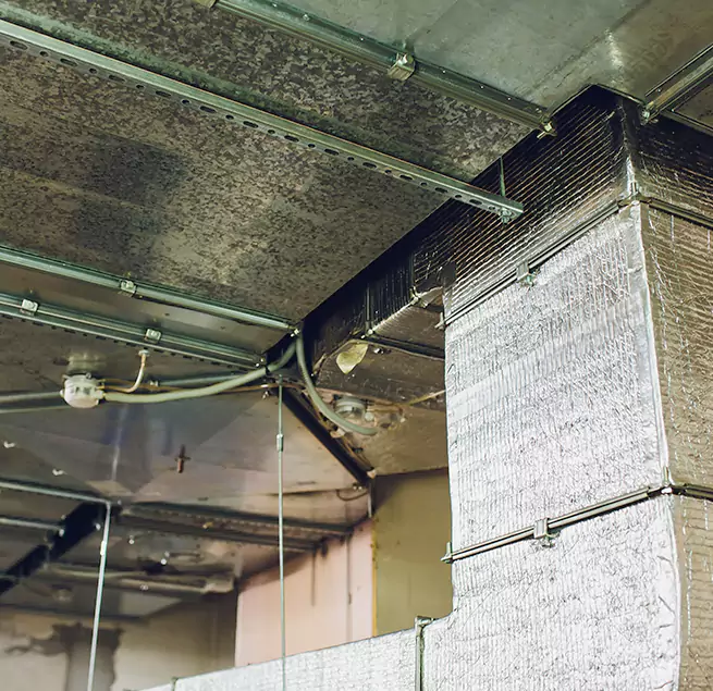 Why Homeowners & Businesses Trust Us in Garland, TX?